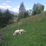 ゲストハウス Goralturist Ždiar