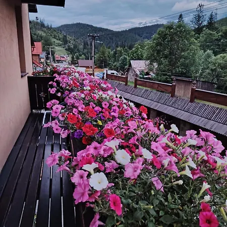 Goralturist Guest house *