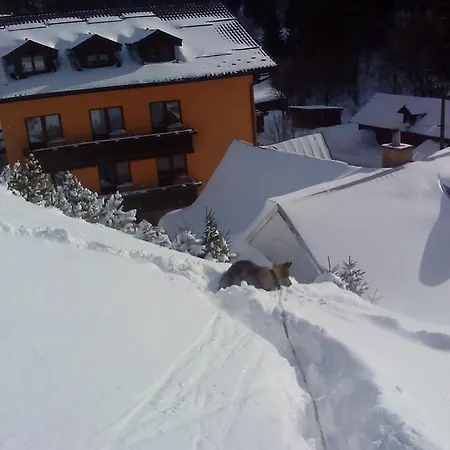 Goralturist Guest house *