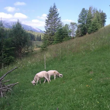 ゲストハウス Goralturist Ždiar