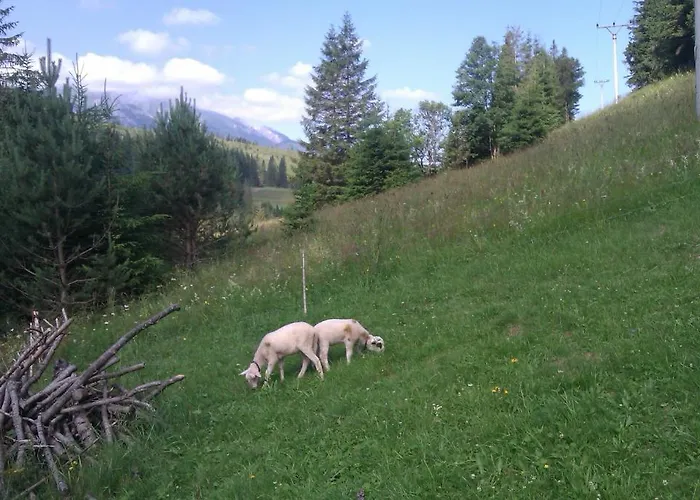 Affittacamere Goralturist Ždiar